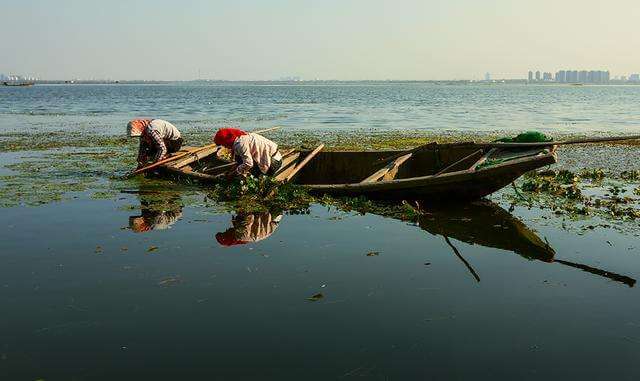 为什么股民喜欢炒a股